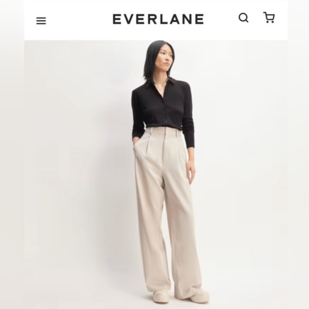Everlane Way-High Drape Pant